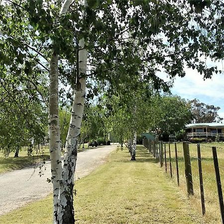 Nicholson Bnb And Arts Centre エクステリア 写真